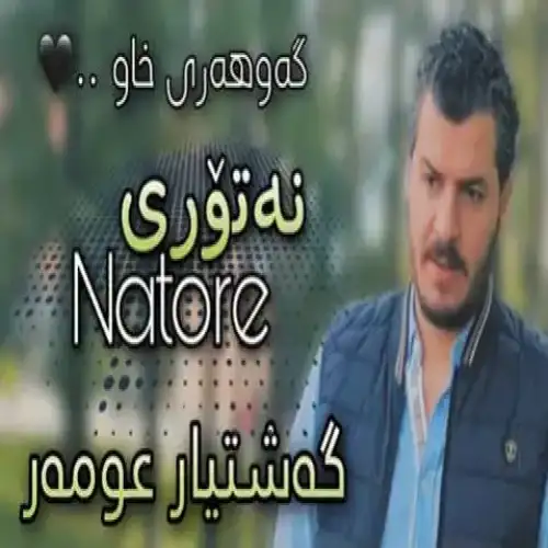 نه‌توری